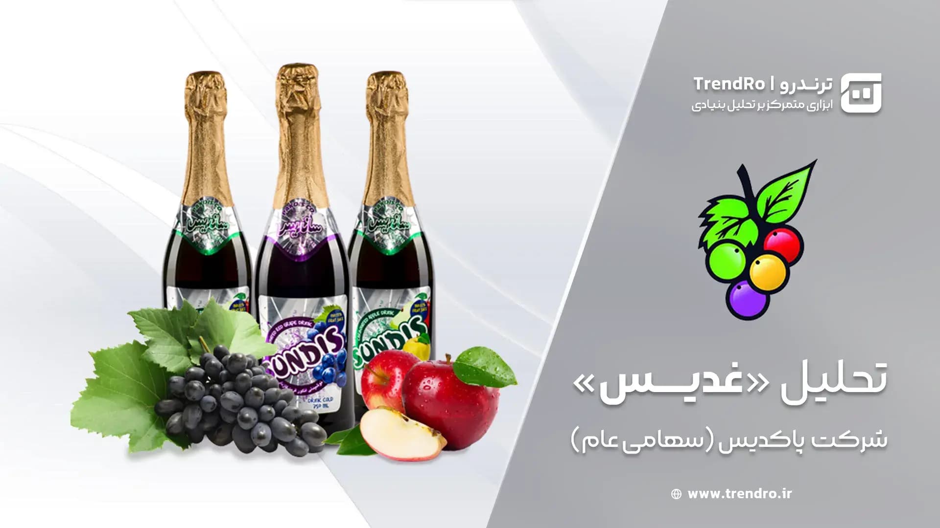 تحلیل و ارزش‌گذاری بنیادی غدیس (شرکت پاکدیس) - آبان ۱۴۰۴